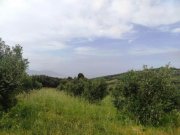 Kastellos bei Kournas Kreta, Kastellos: Grundstück mit Meerblick zu verkaufen Grundstück kaufen